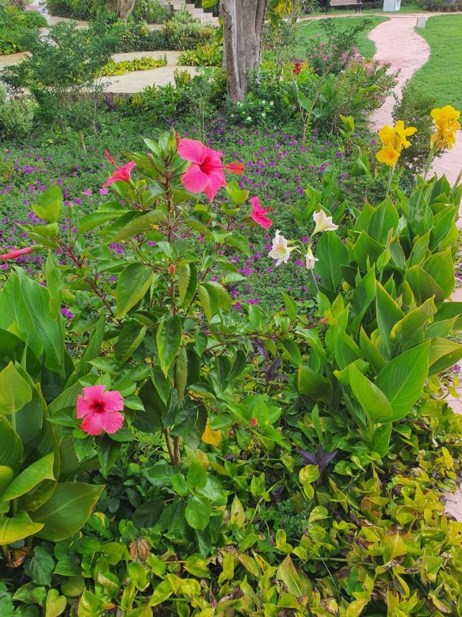Hacienda Maria Elena Yucatan Hotel Ticul Kültér fotó